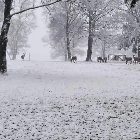 Maison Des M Dom wakacyjny *