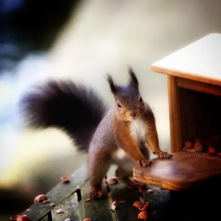 Dom wakacyjny Maison Des M