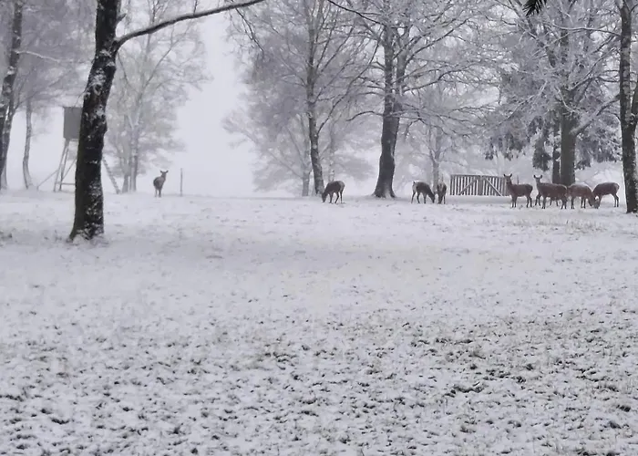 Maison Des M Holiday home *