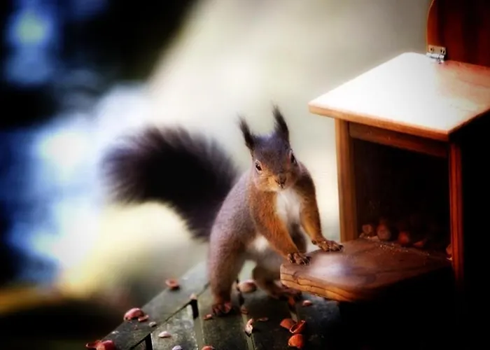 Holiday home Maison Des M